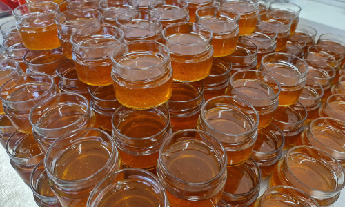 Frisch abgefüllter Honig mit Safran!